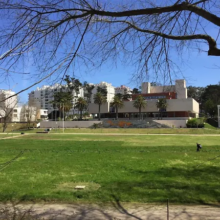 T1 Park Figueira アパート *